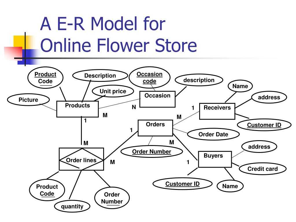 Visualizing The Online Book Store Structure With An Er Diagram