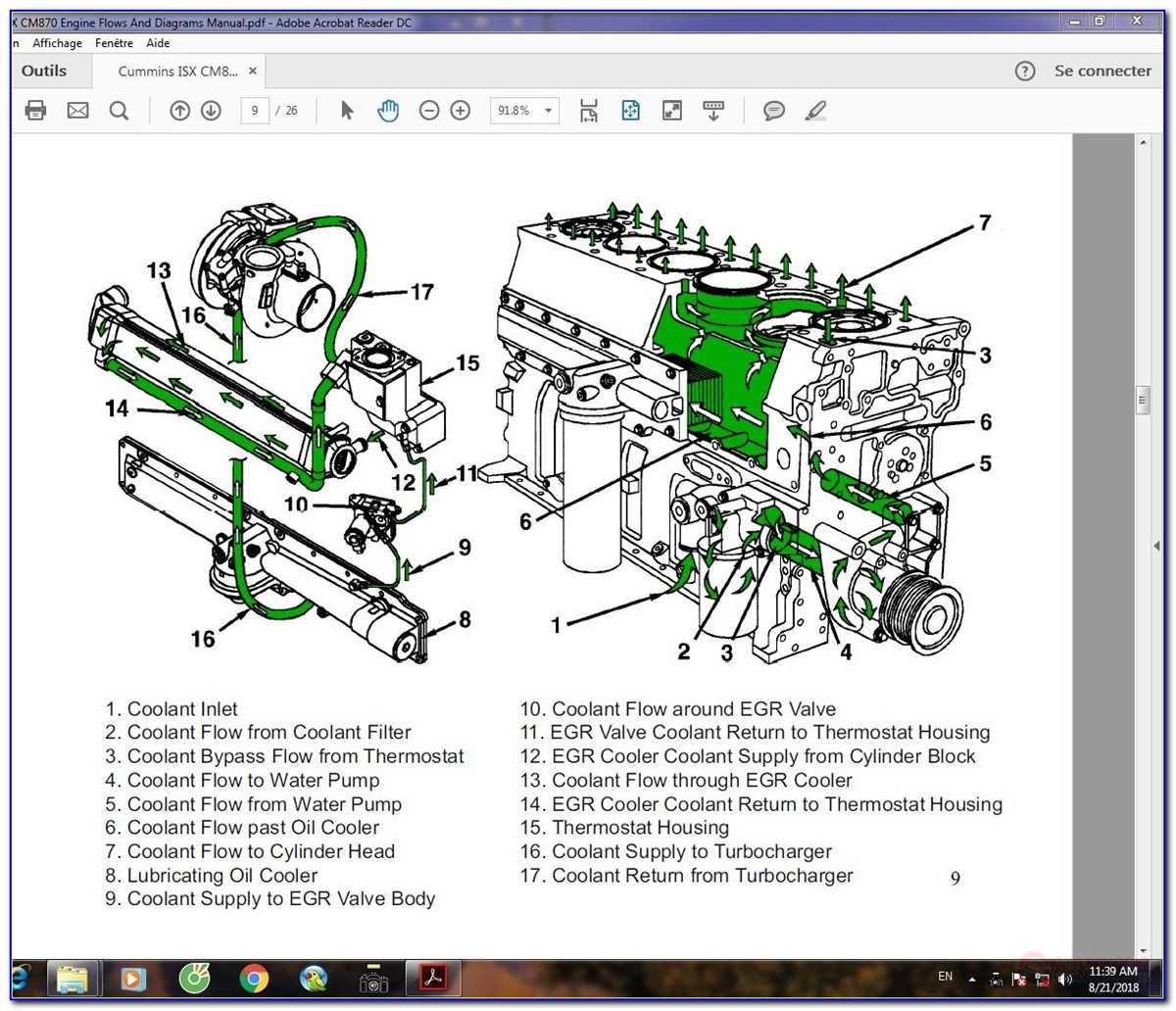 Cummins Ve Pump Parts Diagram Cummins Ve Injection Pump Diag