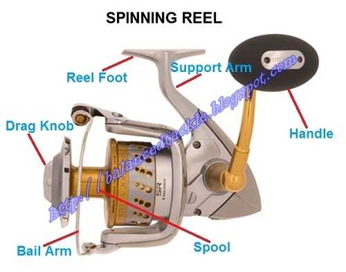 The Essential Guide To Understanding The Parts Of A Spinning Reel Diagram